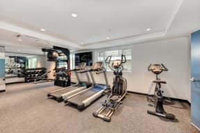 Fitness area with Excercise Bike, Treadmills, Ellipticals, Free Weights and Yoga Balls