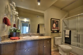  Bathroom with Granite Quartz Countertop Sink, Cabinets,  Shower, Bathtub