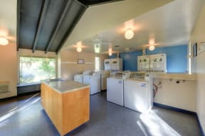 Community Laundry Room with Washers, Dryers, Sink and Large Window at Pinecrest Apartments, Davis, CA
