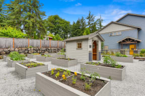 Avaya Trails community garden with raised planter boxes or growing items on-site. 