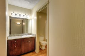 Bathroom and Vanity with Wood Cabinets,  and Toilets