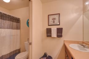 Bathroom Sink Counter Space Shower Bathtub