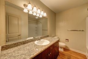 Bathroom Vanity with Granite Countertops and Wood Cabinets