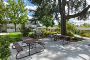 BBQ and Picnic Area with two picnic benches and shade trees