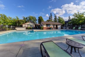 Pool with View of Office, Lime Chairs, Brown Table and Trees