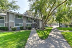 Apartment Grounds Exterior with Walking Paths, Grass and Trees at Pinecrest Apartments, California, 95616