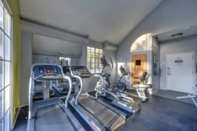Fitness Center with Treadmills, Ellipticals and Excercise Bikes