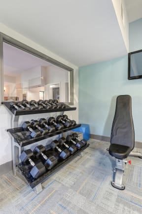 Community fitness center with free weights and bench.