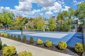sport courts with tennis and basketball courts.  Courts are painted blue. The surrounding buildings are in the distance  & there is landscaping around the courts with mature Trees and bushes