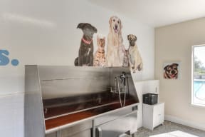 Community Pet Spa which includes stainless steel dog washing tub with walk up ramp.