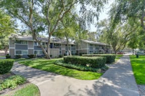 Apartment Grounds Exterior with Walking Paths, Grass and Trees at Pinecrest Apartments, Davis
