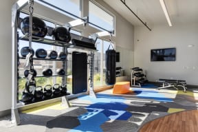 Gym with Wood Floor, Rug, Medicine Balls, Kettle Bells, Punching Bag, Wall Mounted Television, Workout Bench, Mirrors