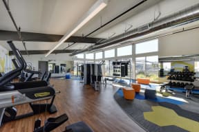 Gym with Hardwood Floor, Treadmills, Excercise Bike, Weight Machines, Full Windows with View of Exterior, and Hand Weight Rack