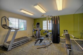 Fitness Center with Green Wall, Treadmills, Ellipticals, and Carpet