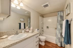Master Bathroom with Wood Inspired Floor, Toilet, Bathtub, Full Vanity