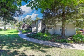 Monte Bello Community grounds with mature tress and landscaping around the building.  Concrete walk path through out the community.