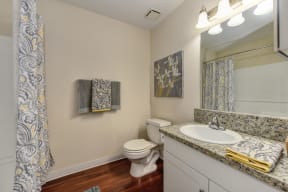 Bathroom with Granite Counters and Shower, Hardwood Inspired Floors, Toilet and Vanity