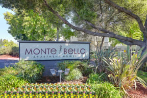 Monte Bello Community Monument sign at front of the community.  There is a mature tree hanging over the sign and flowers in front of it.
