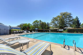 Swimming Pool Lounge Area with Lounge Chairs and Trees