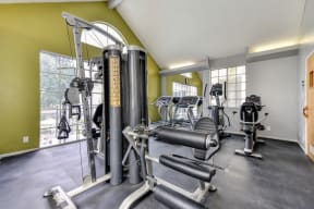 The Woods fitness center with many different types of work out machines and equipment.  There is a lime green accent wall inside the fitness center. 