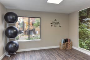 Community Yoga Studio with Hardwood Inspired Floor, Yoga Balls, Large Window and Wicker Basket with Yoga Mats 