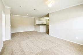 Lush Wall to Wall Carpeting at Stoneleigh on Cartwright Apartments, J Street Property Services, Texas, 75180