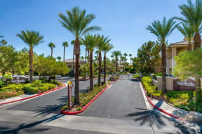 Gated Community with Lush Palm Trees