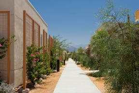 Vista Dunes Community Walkway