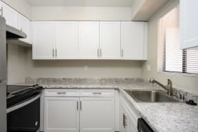 Perigee Renovated Kitchen