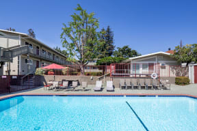 Walnut Hill Apartments in Walnut Creek, CA outdoor pool with lounge chairs