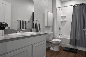 Bathroom shower and vanity 