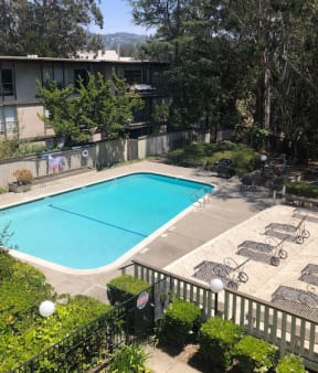 Pool with lounge chairs