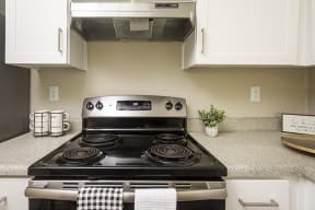 Stainless steel electric stove