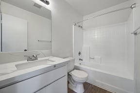 Bathroom vanity and shower