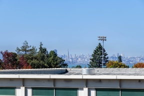 Skyline at K Street Flats, Berkeley, 94704