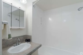 2x1 bath vanity and shower