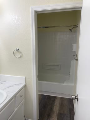 Lake Meridian Shores apartment home bathroom with vanity and shower and tub combo