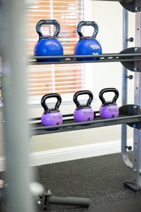 a row of kettle bells on a shelf in a home gym