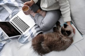 Woman with cat and computer