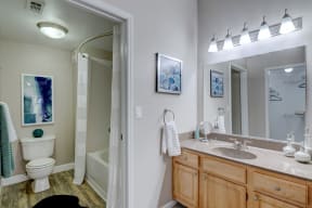 bathroom and vanity