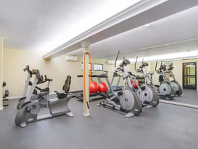 Apartments Los Gatos-El Gato Penthouse Fitness Center with Cardio Machines, Free Weights, and Exercise Balls