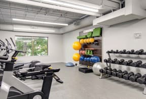 Fitness center- free weights, cardio machines