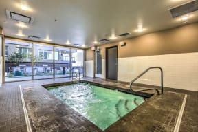 indoor jet stream swim spa