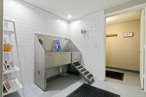 Pet Spa