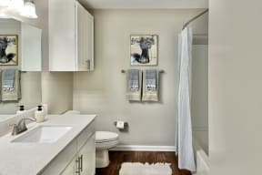 Large Luxury Bathroom at Reserve at Park Place Apartment Homes, Hattiesburg, MS, 39402