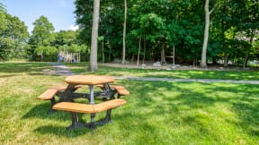 Playing Field with Picnic Tables at Windsor Ridge at Westborough, 1 Windsor Ridge Drive, MA
