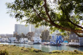 Close to Mission Creek Park at Mission Bay by Windsor, California, 94158