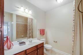 Luxury Bathrooms with Custom Cabinetry at Windsor at Brookhaven, 30319, GA