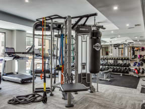 Strength Training Equipment at The Monterey by Windsor, Dallas, Texas