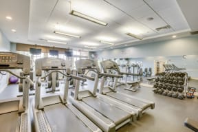 Cardio Equipment and Free Weights at Windsor Village at Waltham, 02452, MA